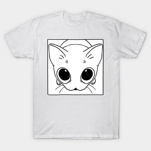 Begging Cat T-Shirt by Joan_OH